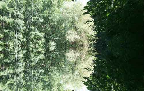 Do iss doch was im Busch?!